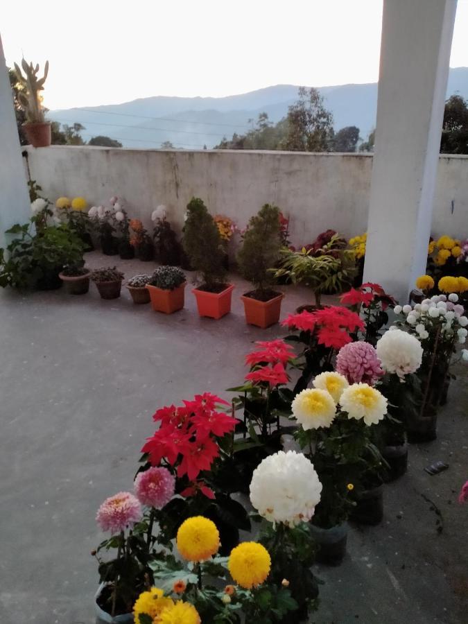 Ajit Homestay, Darjeeling 大吉岭 外观 照片